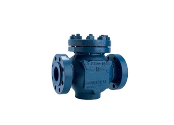 Check valve