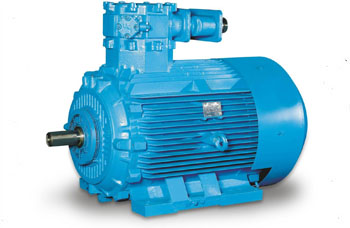Flameproof Motors