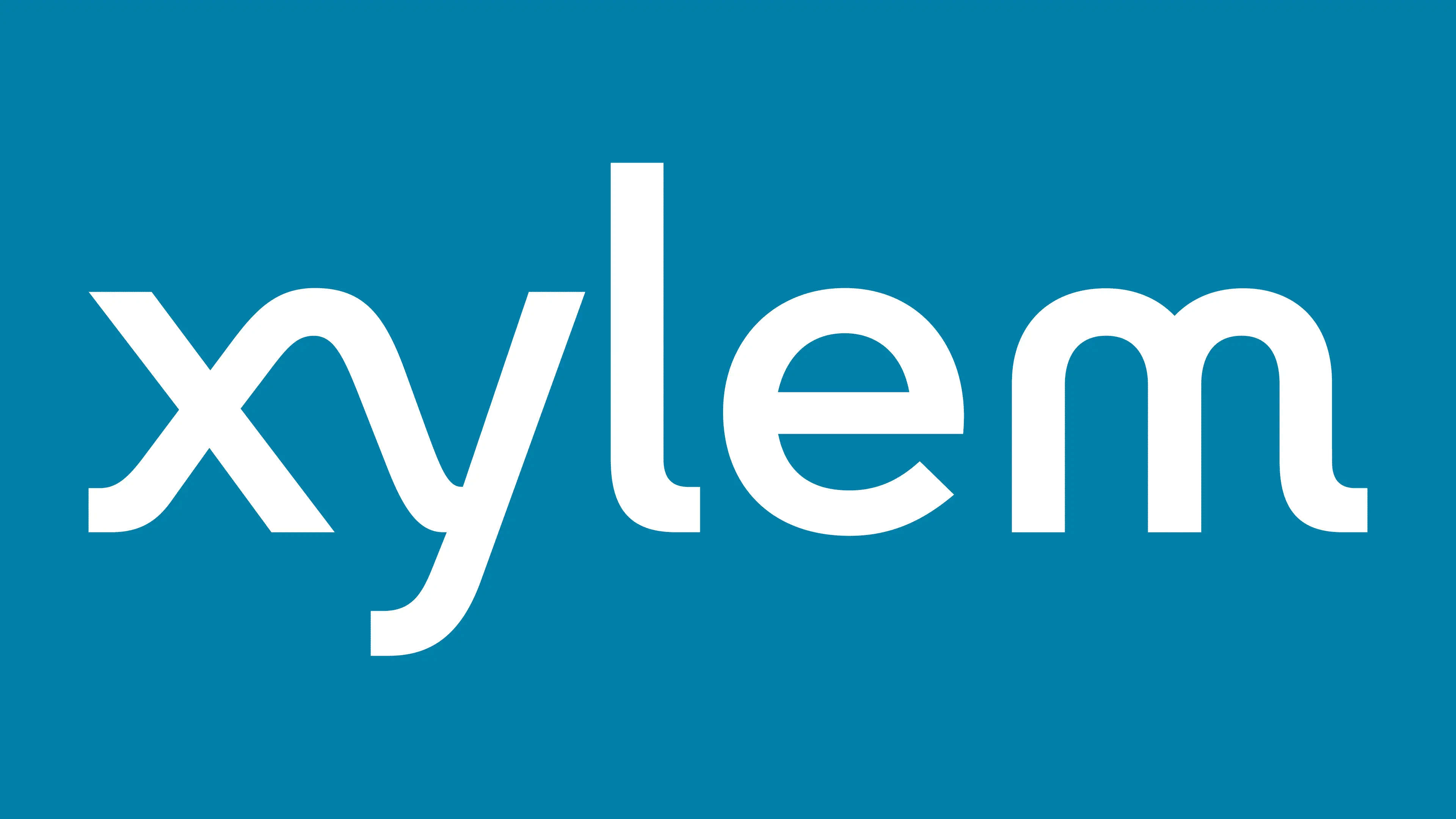 Xylem