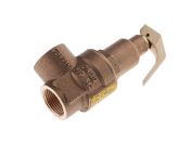 Nabic Valve Safety Products 3 bar Pressure Relief Valve With 3/4 in 3/4 in