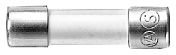 Siemens 4A T Glass Cartridge Fuse, 5 x 20 mm
