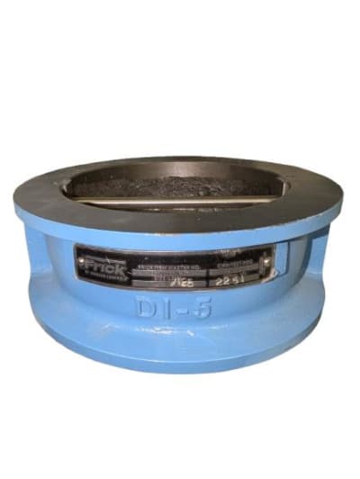 CHECK VALVE, 5 INCH, CAST IRON CONSTRUCTION, 2 SPRING LOADED FLAPS