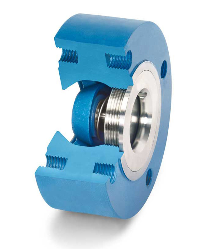DFT® TLW® Tapped Lug Wafer Check Valve