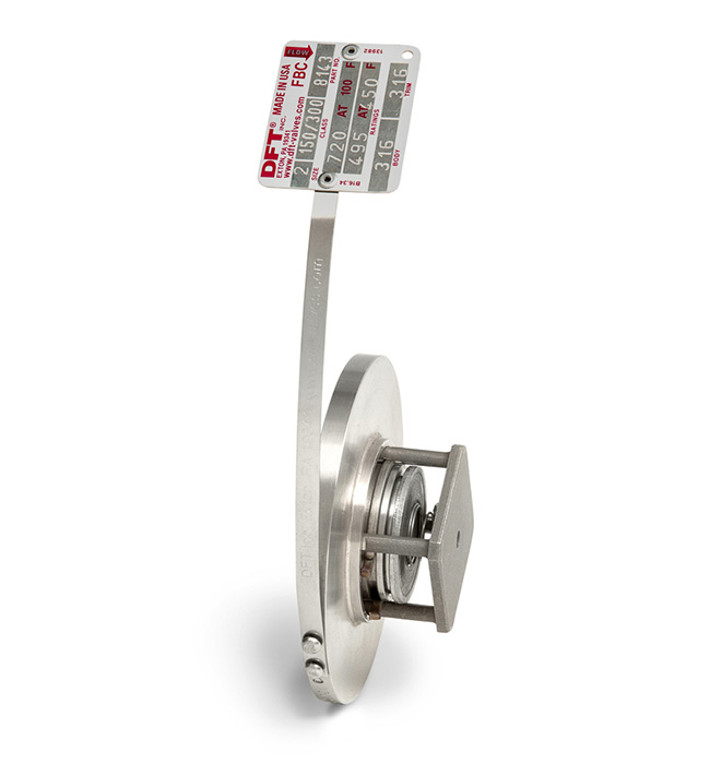 DFT® FBC® Insert Wafer Check Valve