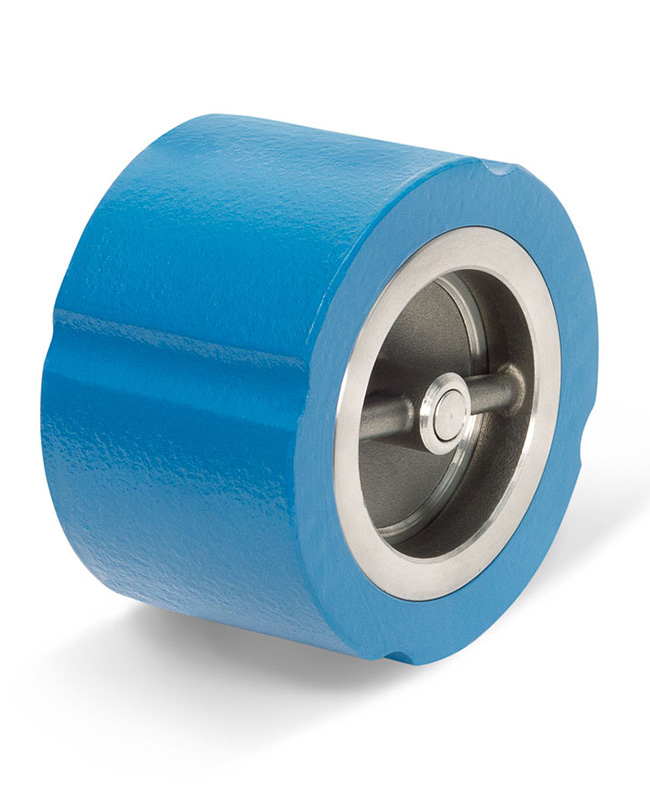 DFT® WLC® Cast Iron Wafer Check Valve